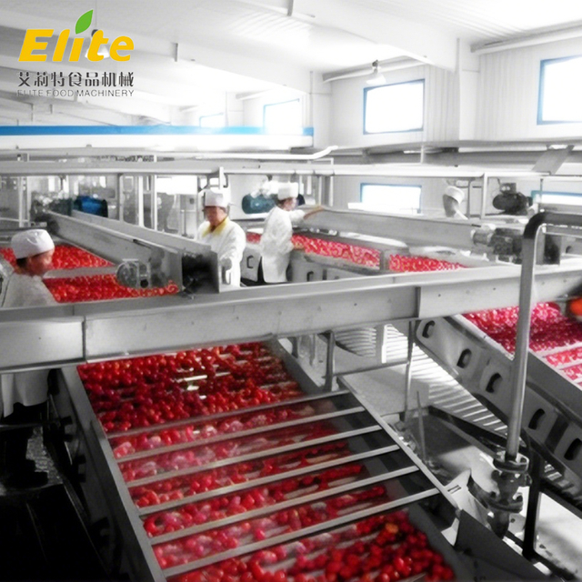 garis produksi saos tomat tomat